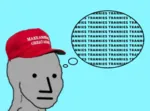 fascism hat lgbt maga nazi npc obsession site:pol transgender wojak // 506x373 // 111KB