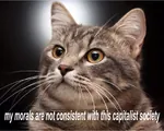 capitalism cat consistency morality society // 1280x1025 // 299KB