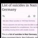 meta:music meta:video nazi nazi_germany suicide wikipedia // 480x480, 48.4s // 2.8MB