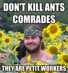 ant comrade environment environmentalism hippie impact_font insect proletariat radlib veganism worker // 503x538 // 55KB