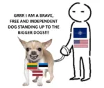 baltics chihuahua dog estonia latvia lithuania nato united_states // 680x569 // 221KB