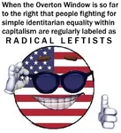 capitalism equality glasses identity_politics overton_window picardia united_states when // 500x548 // 58KB