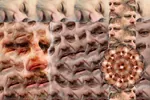 abomination compilation horror slavoj_zizek slovenia sniff wtf // 850x566 // 108KB