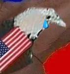 bird eagle sad tears united_states // 995x1052 // 664KB