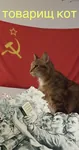 cat comrade flag hammer_and_sickle red_flag soviet_union // 997x1892 // 170KB