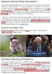 2016 article avian bernie_sanders bird commune comrade election glasses meta:infographic meta:screencap social_democracy sparrow symbolism united_states // 660x930 // 288KB