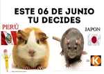 election fujimori japan keiko_fujimori latin_america pedro_castillo peru peru_libre rat rodent // 720x513 // 37KB