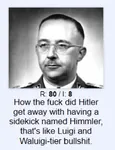 adolf_hitler fascism germany heinrich_himmler nazi nazi_germany ss // 567x741 // 415KB