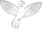 anarchism avian bird egoism glasses max_stirner meta:transparent_background wings // 1237x867 // 338KB