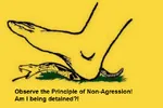 am_i_being_detained feet gadsden_flag libertarianism non_aggression_principle snake // 640x427 // 165KB