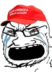 conservatism cope crying crying_wojak glasses make_america_great_again mouth_open neckbeard red_cap soy // 680x954 // 486KB