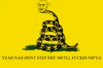 anarcho_capitalism anglo australia capitalism gadsden_flag hat libertarianism meta:highres snake // 2000x1333 // 200KB