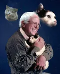 2016 bernie_sanders cat cheezburger cute election glasses hug social_democracy united_states // 500x620 // 237KB