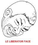 le liberator reaction_image red_army smug soviet_union war world_war_ii // 680x799 // 253KB