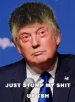 2016 donald_trump election just_fuck_my_shit_up meta:lowres tbh united_states // 342x465 // 43KB