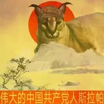 caracal cat china hat maoism red_star // 720x720 // 96KB