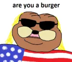 are_you_a_burger burger glasses spurdo sun_glasses united_states // 504x432 // 29KB