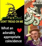 anarchism anarcho_capitalism capitalism coincidence fascism gadsden_flag libertarianism meta:lowres snake swastika willy_wonka // 439x477 // 95KB