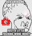 big_brain impact_font national_bolshevism nazbol_gang wojak woke x_gang // 500x557 // 34KB