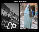 aircraft airplane burqa caption comparison islam religion soviet_air_forces soviet_union then_and_now translation uzbekistan // 892x732 // 2.5MB