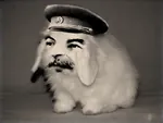 joseph_stalin peaked_cap rabbit reaction_image soviet_union // 800x600 // 54KB