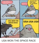 avian bird crow soviet_union space united_states // 500x553 // 149KB