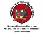 anarchism anime cat ernest_hemingway iww litten pokemon quote // 1072x804 // 76KB