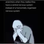 anarchism centralization hierarchy organization sad when // 526x530 // 219KB