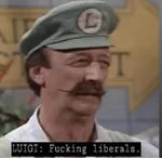 caption game liberalism luigi mario reaction_image video_game // 750x730 // 36KB