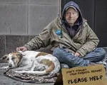 2016 bernie_sanders dog donald_trump election homeless poverty social_democracy united_states // 1024x819 // 870KB