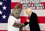 flag impact_font john_mccain microphone shark united_states // 640x442 // 58KB