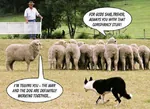 conspiracy conspiracy_theory dog herding sheep shepherd // 640x466 // 70KB