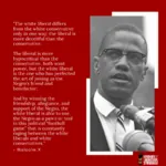 1:1_aspect_ratio conservatism liberalism malcolm_x politics quote // 800x800 // 399KB