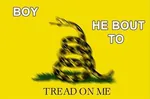 blur gadsden_flag libertarianism meta:lowres snake // 469x309 // 34KB