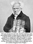 arthur_schopenhauer fake_quote german_idealism philosophy pringles quote suffering // 400x534 // 60KB