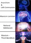 anarchism anarcho_communism expanding_brain left_communism maoism marxism_leninism national_bolshevism // 500x701 // 342KB