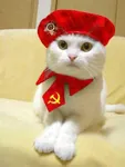 cat hammer_and_sickle hat meta:lowres scarf // 363x480 // 38KB