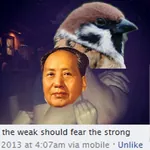 china mao_zedong maoism sam_hyde sparrow the_weak_should_fear_the_strong // 607x608 // 249KB